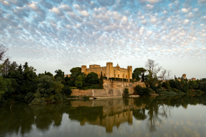 Castillo de Malpica de Tajo