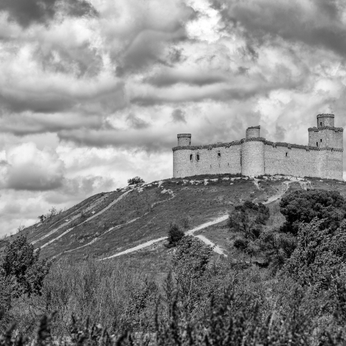 DSC_4768w
