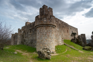 Castillo La Adrada