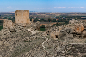 orejawebpano