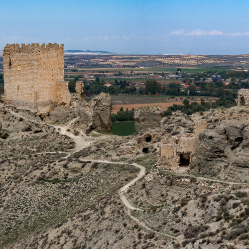 orejawebpano