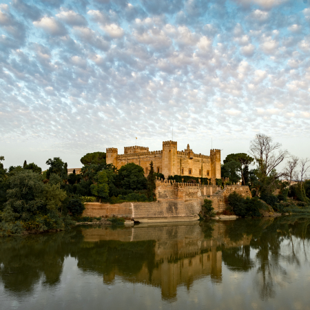 Castillo de Malpica de Tajo