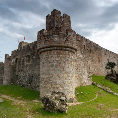 Castillo La Adrada