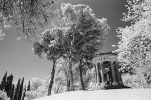 Rollei_IR400_11