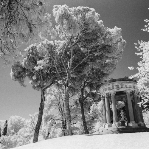 Rollei_IR400_11