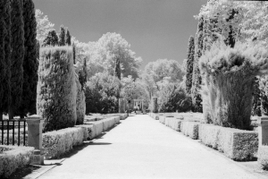 Rollei_IR400_15