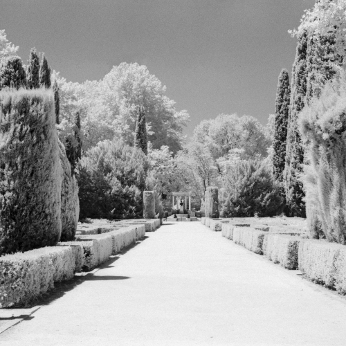 Rollei_IR400_15