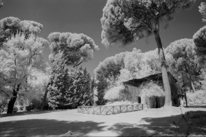 Rollei_IR400_1p