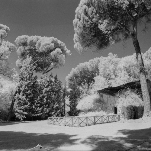 Rollei_IR400_1p