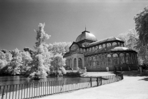 Rollei_IR400_20