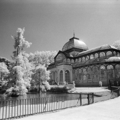 Rollei_IR400_20