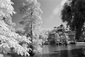 Rollei_IR400_25