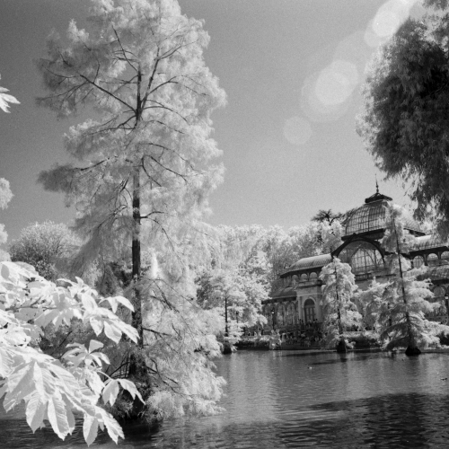 Rollei_IR400_25