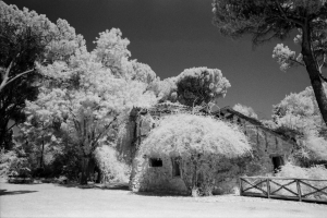 Rollei_IR400_3P