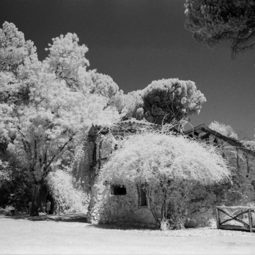 Rollei_IR400_3P