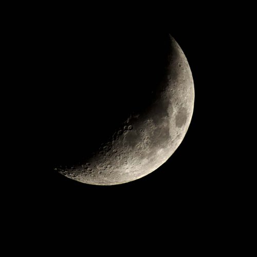 DSC_7876