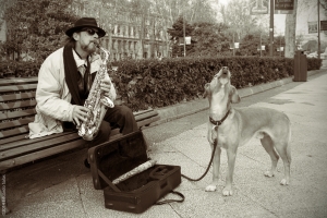 Dúo musical