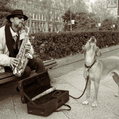 Dúo musical