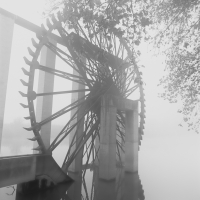 1_Noria-entre-niebla