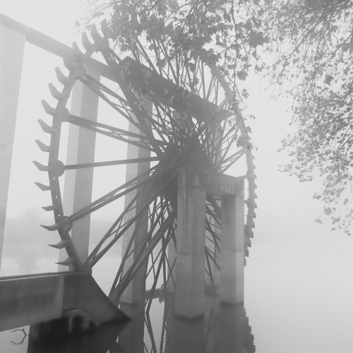 1_Noria-entre-niebla