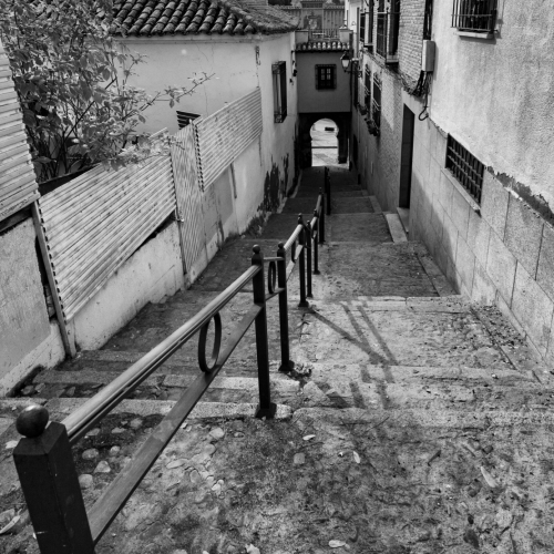 DSC_8713