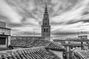 DSC_8923bw