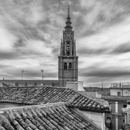 DSC_8923bw
