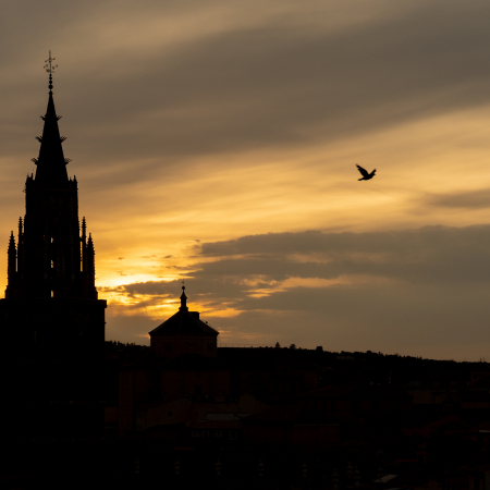 Atardece en la catedral